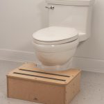 Potty Step-img